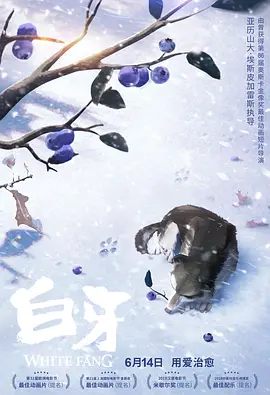 国产精品一级s片
